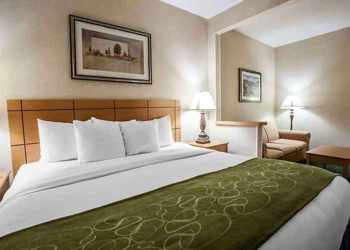 Comfort I-74 Hotel 4*